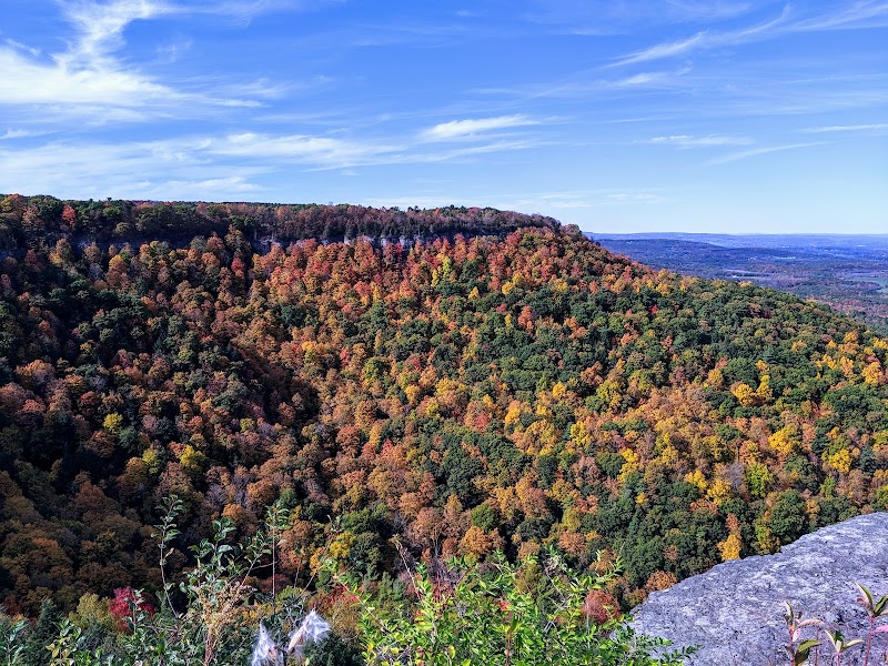 Thacher State Park — Parks & Nature in Albany