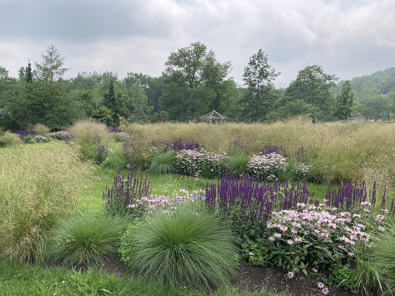 Mountain Top Arboretum — Parks & Nature in Albany