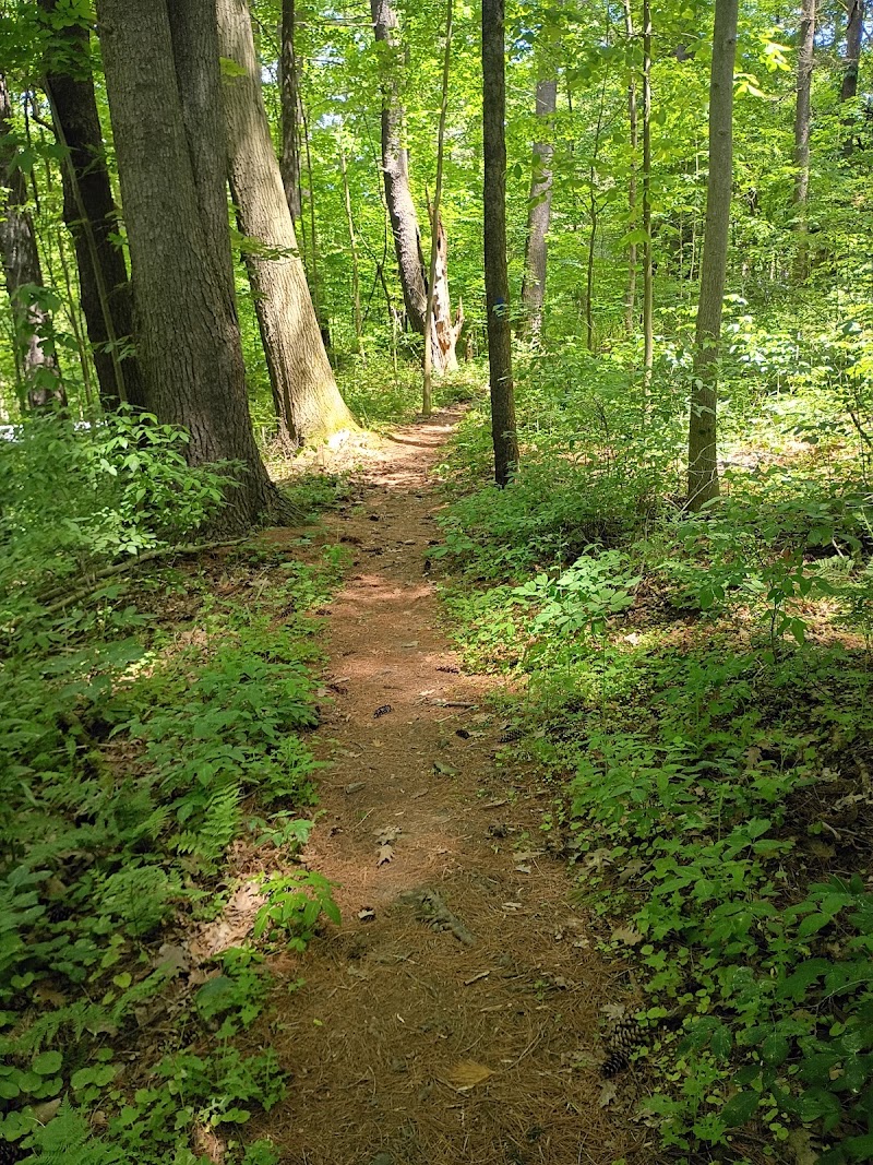 Park Park Natural Area — Parks & Nature in Ithaca. Rated 5 stars.