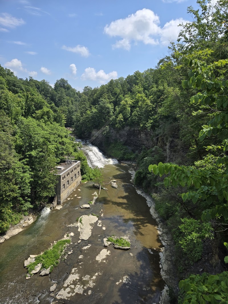 Fall Creek Gorge Natural Area — Parks & Nature in Ithaca. Rated 4.9 stars.