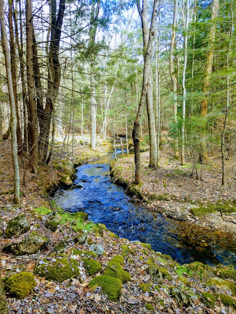 LeVine Nature Preserve — Parks & Nature in Saratoga Springs. Rated 4.8 stars.