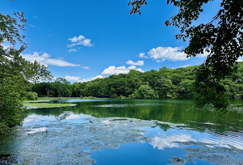 Rockefeller State Park — Parks & Nature in Tarrytown. Rated 4.9 stars.
