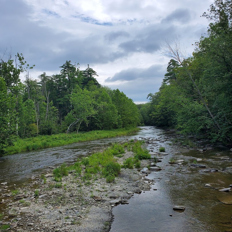 Fall Creek Valley Natural Area — Parks & Nature in Ithaca. Rated 5 stars.